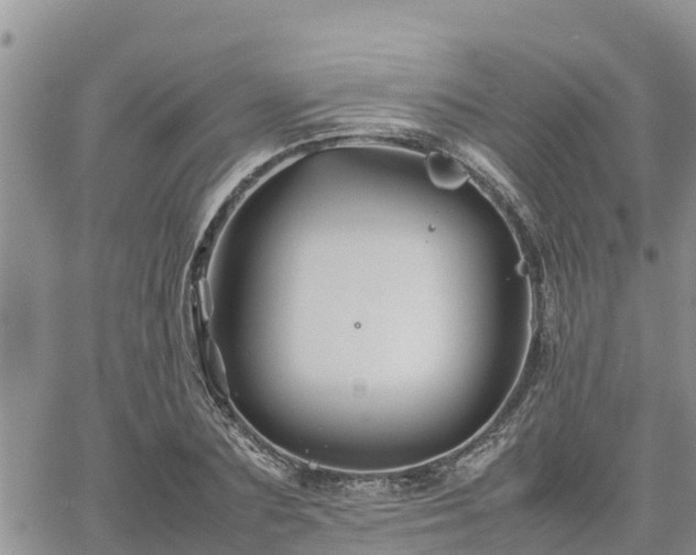 X0000062170883200512121238