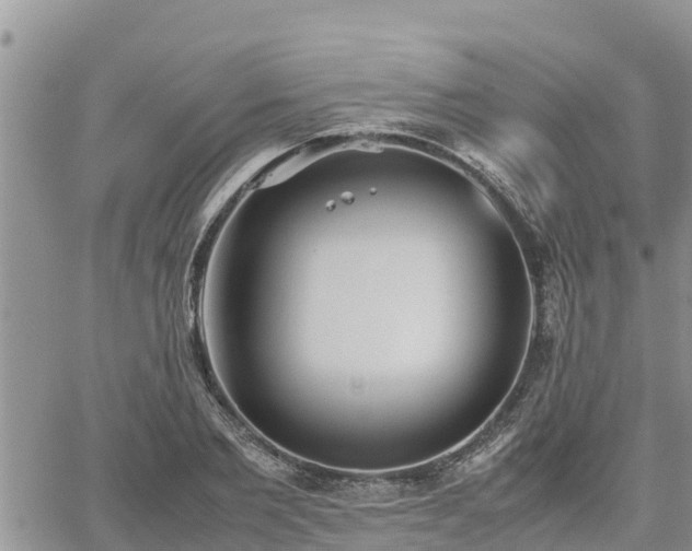 X0000062170885200512121238