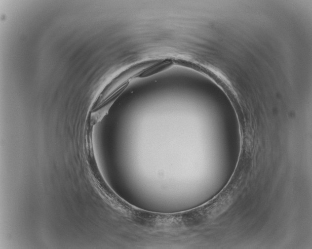 X0000062170887200512121237