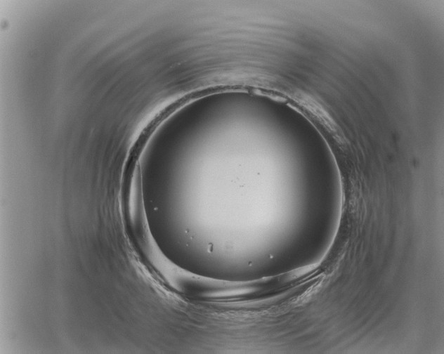 X0000062170888200512121237