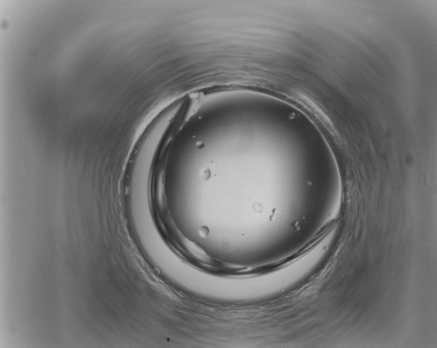 X0000062170891200512121237