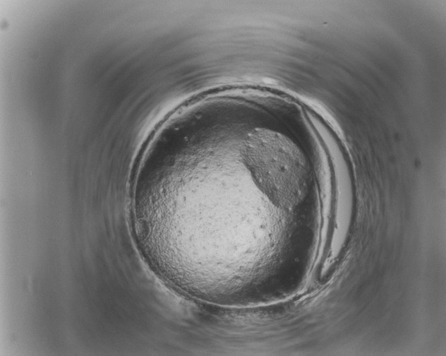 X0000062170895200512121237