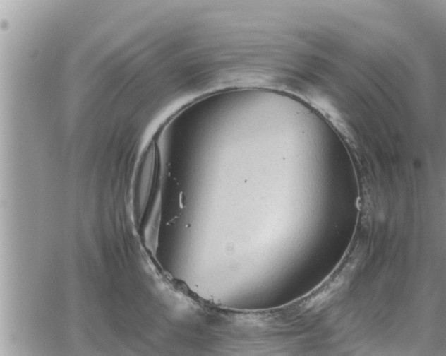 X0000062170904200512121237