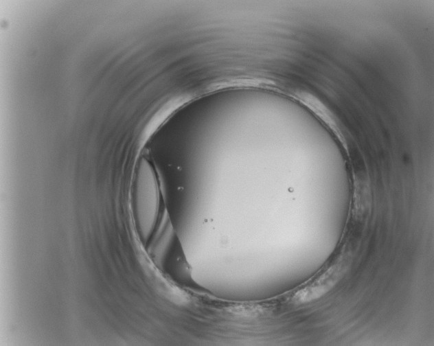 X0000062170906200512121237