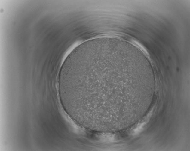 X0000062170907200512121237