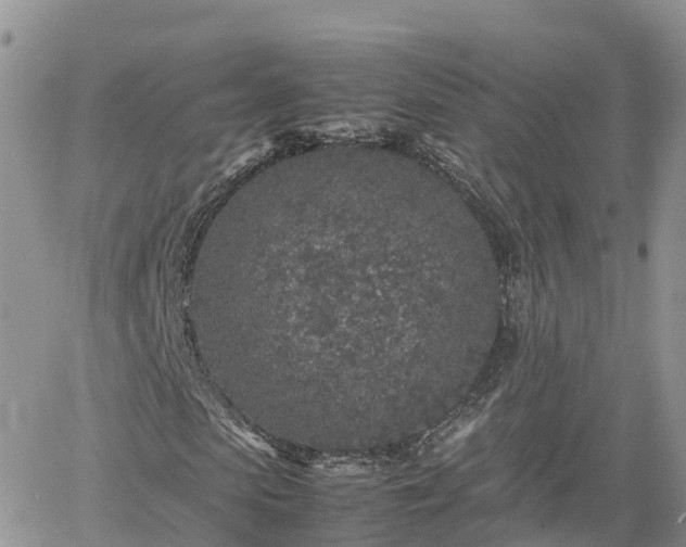 X0000062170913200512121236