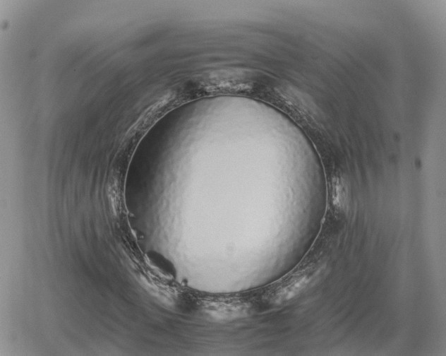 X0000062170915200512121236