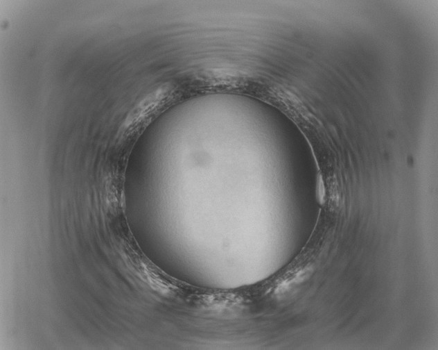 X0000062170916200512121236