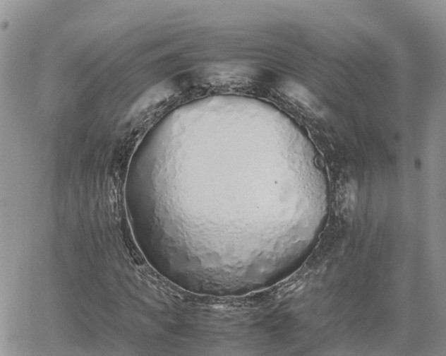 X0000062170917200512121236