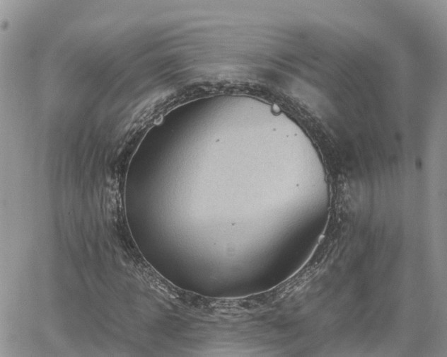 X0000062170918200512121236