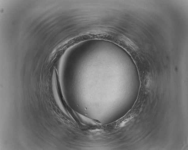 X0000062170920200512121236