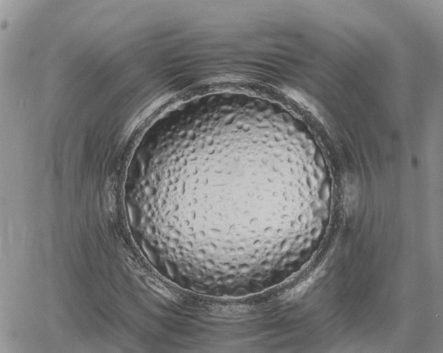 X0000062170921200512121236