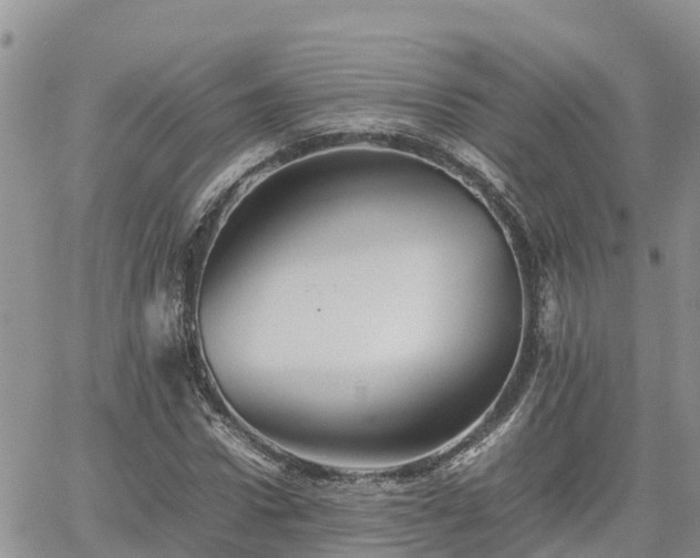 X0000062170922200512121236