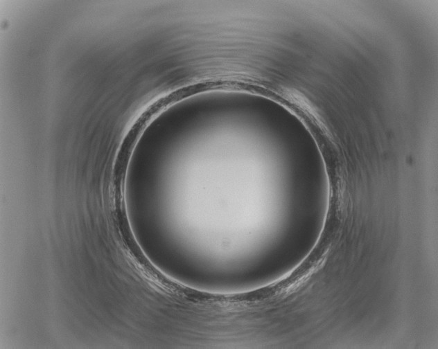 X0000062170924200512121236