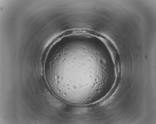 X0000062170925200512121236