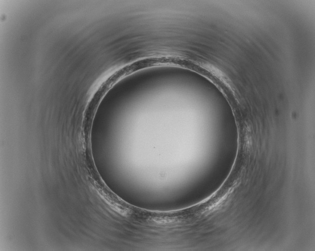 X0000062170927200512121237