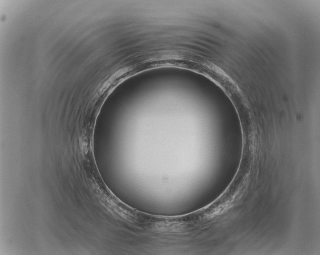 X0000062170929200512121237