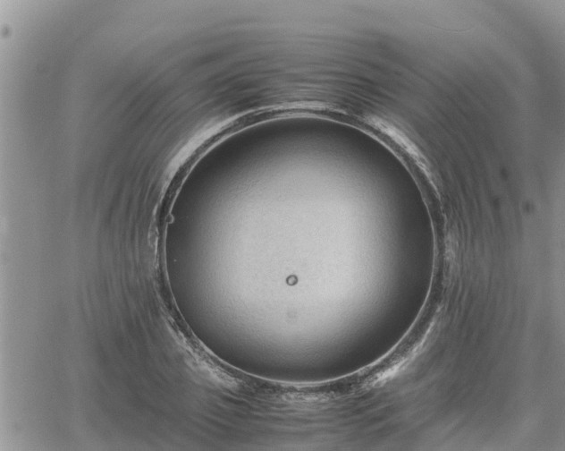 X0000062170933200512121237