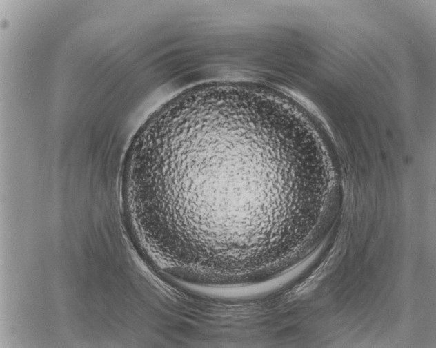 X0000062170935200512121237