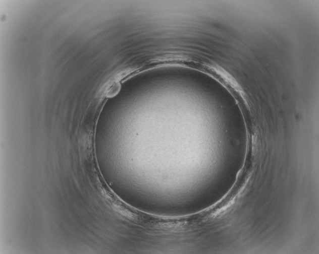 X0000062170937200512121237