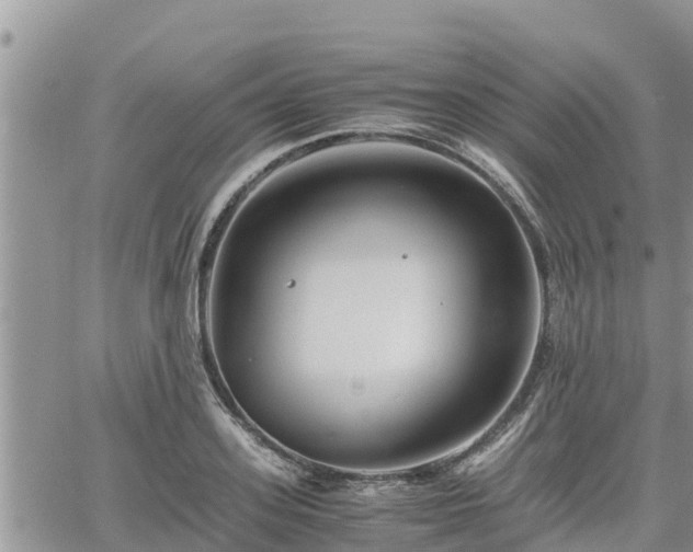 X0000062170939200512121237