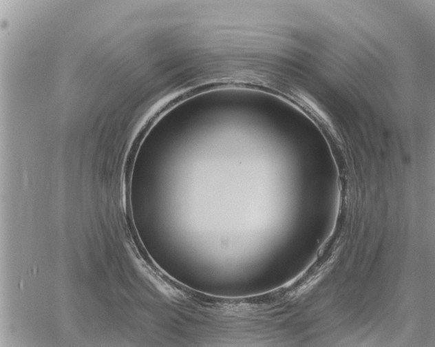 X0000062170940200512121237