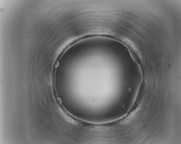 X0000062170942200512121237