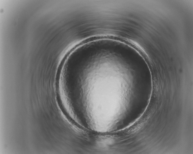 X0000062170943200512121237