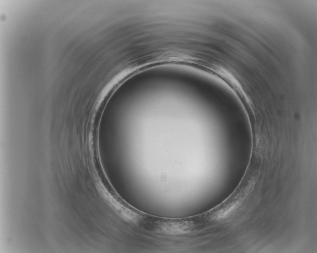 X0000062170947200512121237