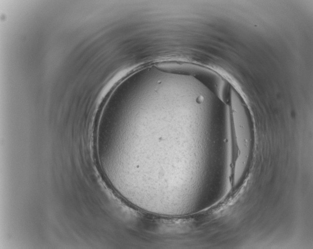 X0000062170949200512121237