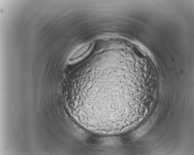 X0000062170953200512121237