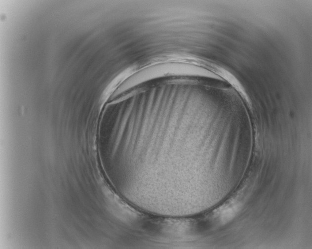 X0000062170954200512121237