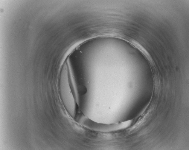 X0000062170956200512121237