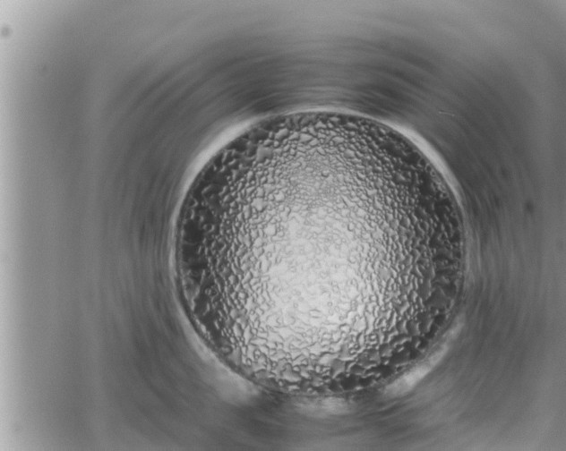 X0000062170957200512121237