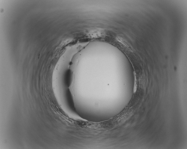 X0000062170961200512121236