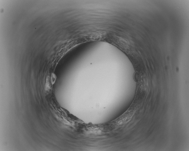 X0000062170962200512121236