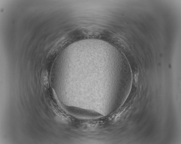 X0000062170963200512121236