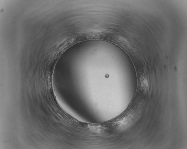 X0000062170964200512121236