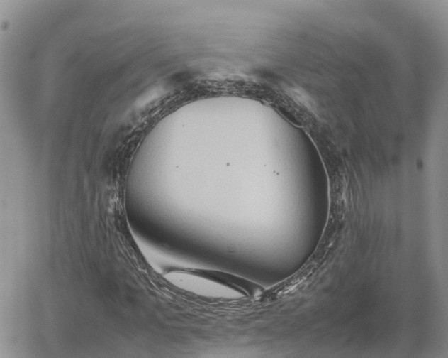 X0000062170965200512121236