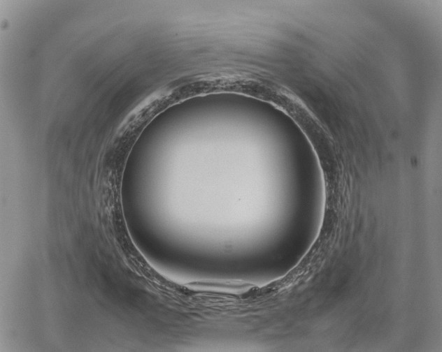 X0000062170967200512121236