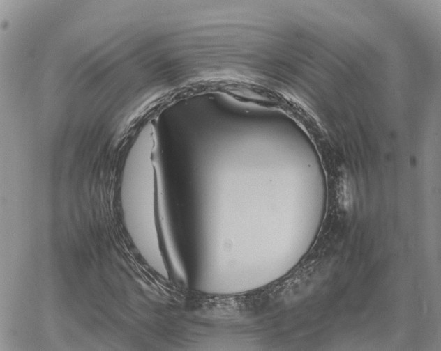 X0000062170968200512121236