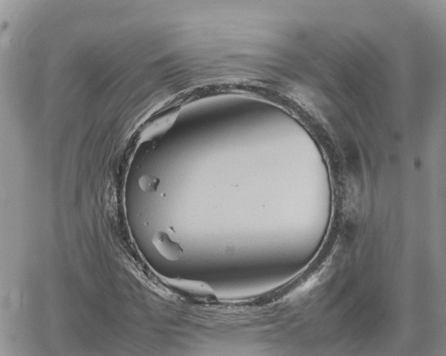 X0000062170969200512121236