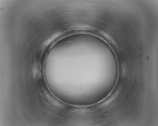 X0000062170970200512121236