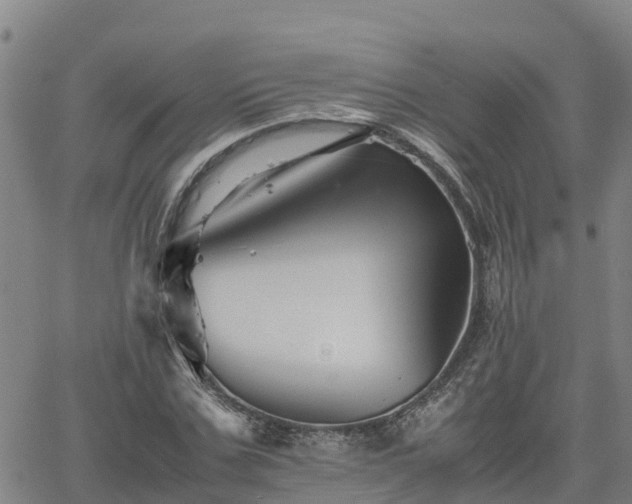 X0000062170971200512121236