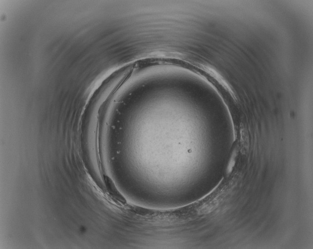 X0000062170972200512121236