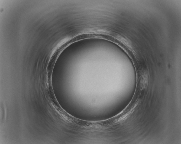 X0000062170974200512121236