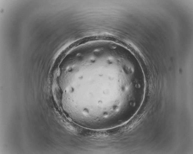 X0000062170975200512121236