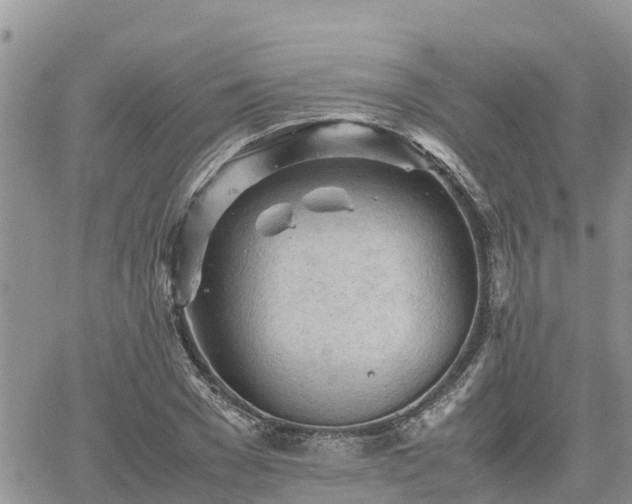 X0000062170977200512121236