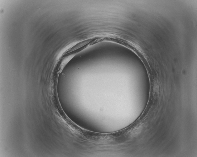 X0000062170979200512121236