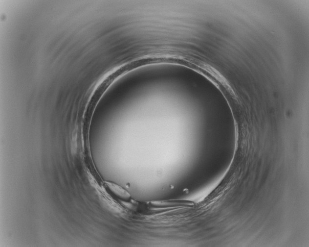 X0000062170980200512121236